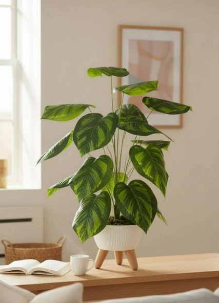 Yapay Çiçek Salon Bitkisi Difenbahya 70cm 18 Yaprak Beyaz Zigon Saksıda ürün görseli 1