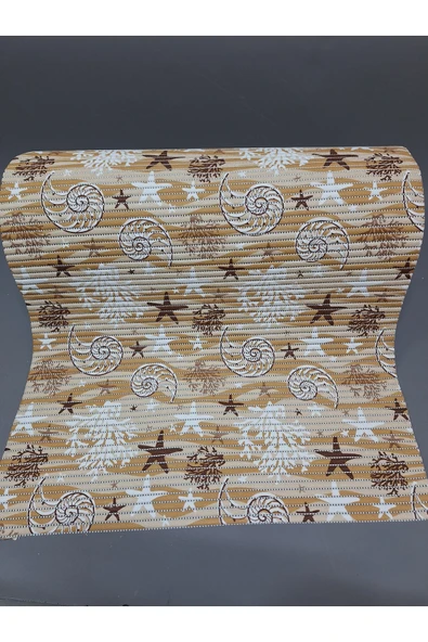 Aqua Mat Islak Zemin Anti Bakteriyel Kaydırmaz Çok Amaçlı Paspası 65 CM Eninde - Resim 2