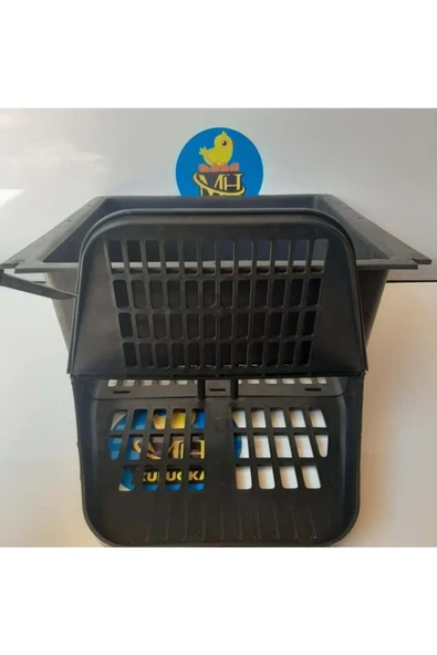 Tavuk Yumurta Folluğu - Resim 3