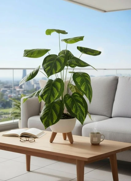 Yapay Çiçek Salon Bitkisi Difenbahya 70cm 18 Yaprak Beyaz Zigon Saksıda - Resim 3