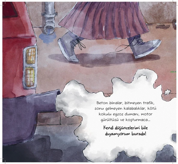 AVUCUMDAKİ ORMAN - Resim 4