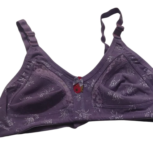 Liza 543 Yarı Dantelli Bayan Toparlayıcı Sütyen LİLA ürün görseli