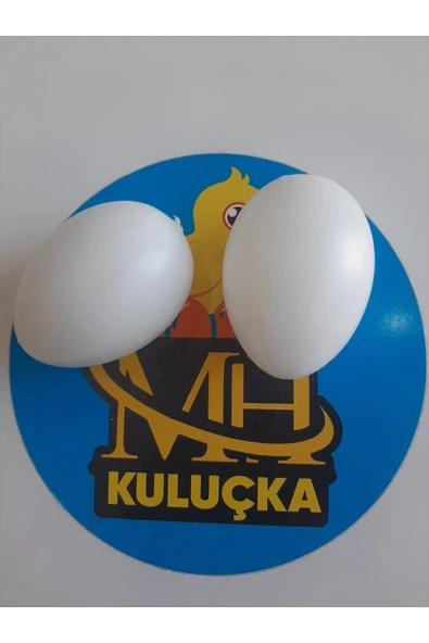 Sahte Tavuk Yumurta 2 Adet Beyaz ürün görseli
