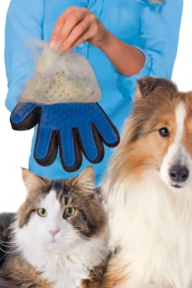 Kedi Köpek Tüy Kıl Tiftik Toplama Eldiveni Evcil Hayvan Temizleme Tüy Tarama Toplama Eldiveni - Resim 4