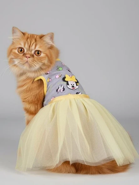 Sevimli Fare Sunny Tütü Kedi Kıyafeti | Sarı Tütülü Elbise | Kediler İçin - Resim 5