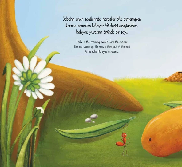 KRAL İĞDE - Resim 2