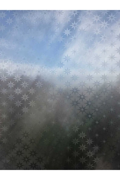 Cam Filmi Kaplama Statik Folyo Buzlu Desenli Duşa Kabin Pencere Ofis Dekorasyon - Resim 3