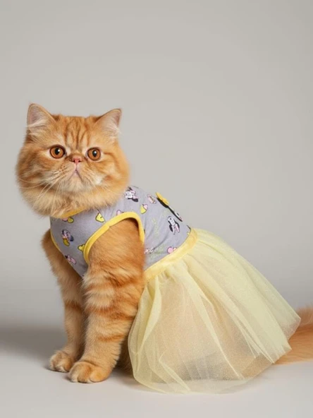 Sevimli Fare Sunny Tütü Kedi Kıyafeti | Sarı Tütülü Elbise | Kediler İçin - Resim 4