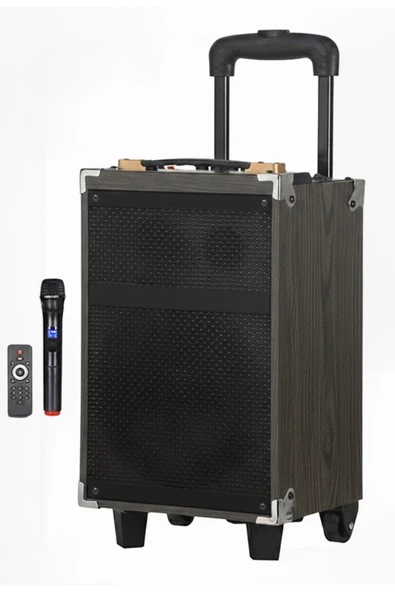 Hepu Hp-903 Partybox Bluetooth Hoparlör 8 Woofer 40W Güç 1 Kablosuz Mikrofon Kumanda ürün görseli 1