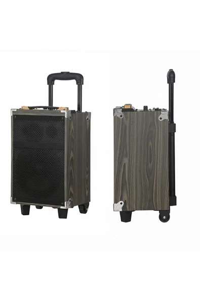 Hepu Hp-904 Partybox Bluetooth Hoparlör 12 Woofer 40W Güç 1 Kablosuz Mikrofon Kumanda - Resim 3