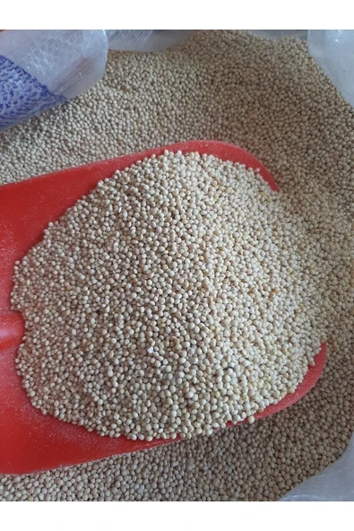 Muhabbet Kuş Yemi Ak Darı Beyaz (25 KG) - Resim 2