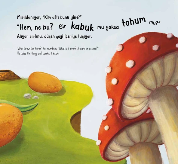 KRAL İĞDE - Resim 3