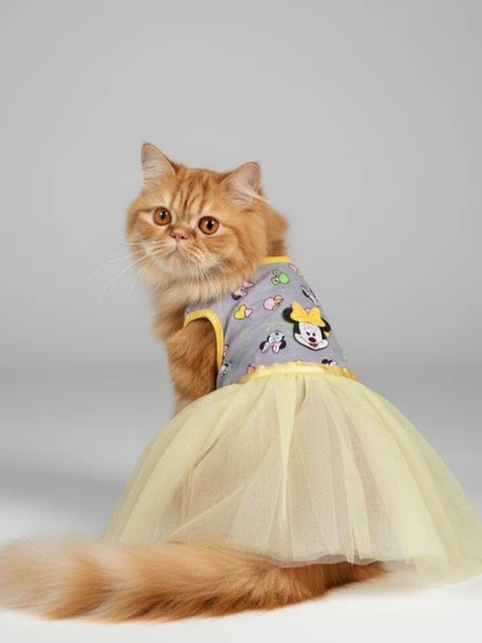 Sevimli Fare Sunny Tütü Kedi Kıyafeti | Sarı Tütülü Elbise | Kediler İçin ürün görseli 1