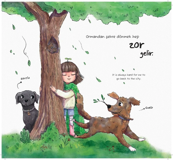 AVUCUMDAKİ ORMAN - Resim 2