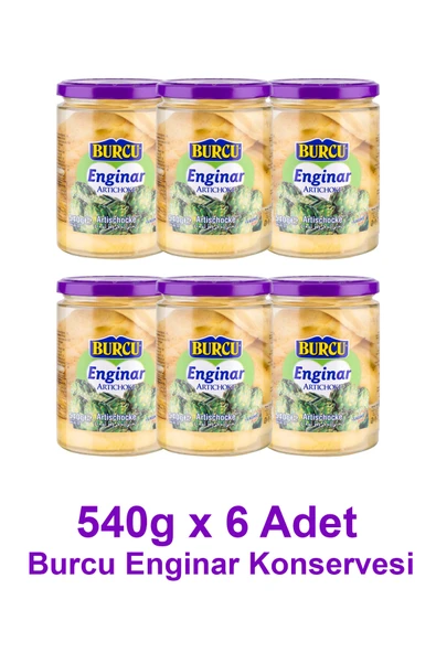 Enginar Konservesi 540 gramlık 6 adet ürün görseli
