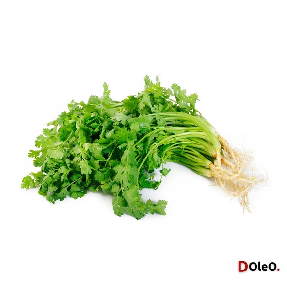 Dolar Kimya Kişniş Yağı - 30 mL - Resim 2