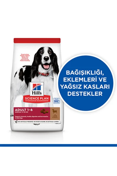 Hill’s Scıence Plan Adult Medium Lamb & Rice Orta Irk Kuzulu Yetişkin Köpek Maması 2,5 Kg - Resim 3