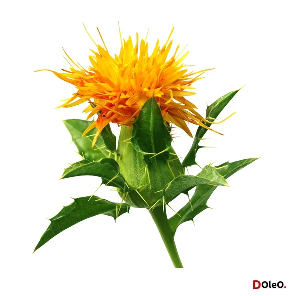 Dolar Kimya Aspir Yağı - 30 mL - Resim 2