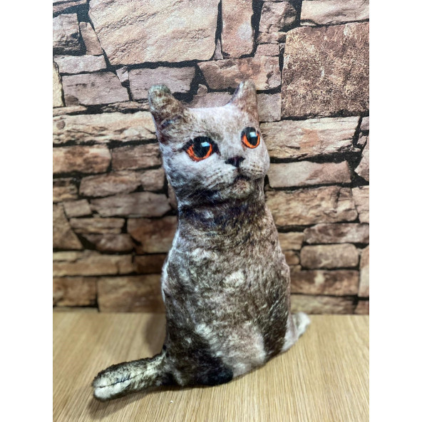 3D Tekir Kedi Yastık