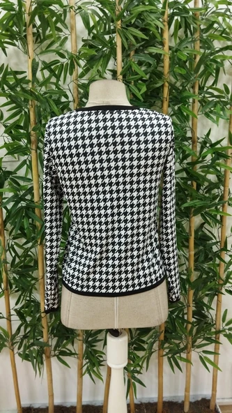 Kadın Uzun Kollu Kaz Ayağı Desenli şardonlu Dalgıç Ceket - Resim 5