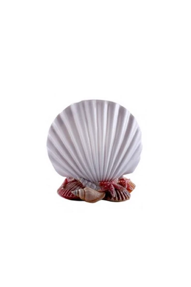 Prima Nova İnci Diş Fırçalık ürün görseli 1