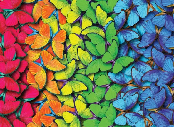 Nova Puzzle 1000 Parça Çok Renkli Kelebekler Puzzle - Resim 3