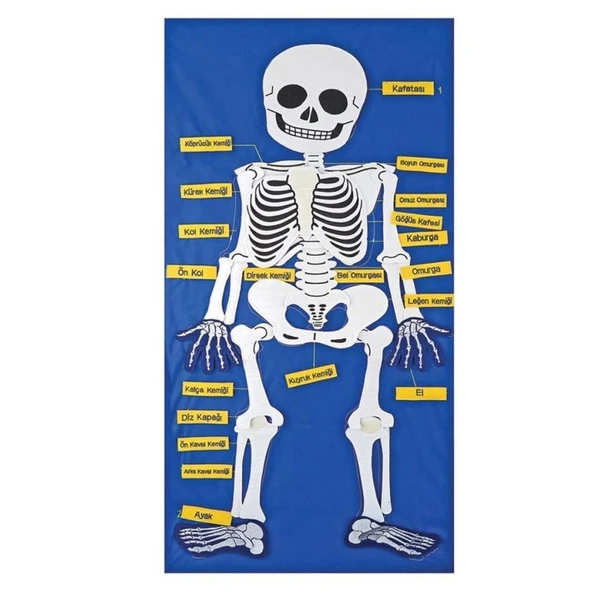 AND-9150 CIRTLI İSKELET PANO 5119 ürün görseli