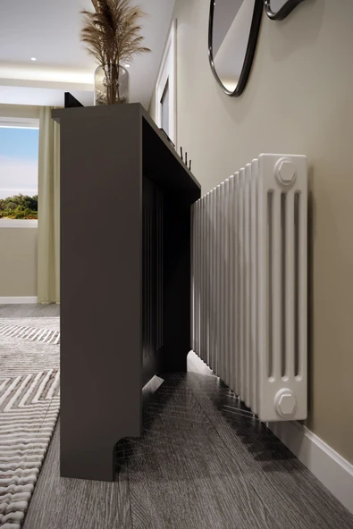 BAGAX Efes Model, Antrasit Renk,iç Ölçü 96 Cm Dış Ölçü 100 Cm Petek Kaplama, Dresuar - Resim 3