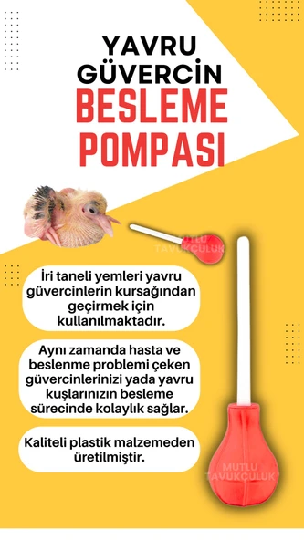 Güvercin Yavru Besleme Yem Verme Pompası 1 Adet Şebap Posta Güvercini Süs Kuşu Taklacı Güvercini - Resim 2