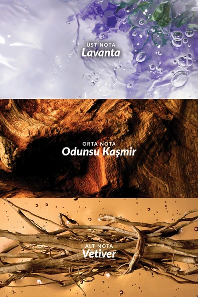 Scent Masculine Woody Erkek Parfüm Edt 30 Ml. - Resim 3