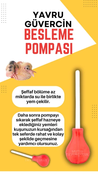 Güvercin Yavru Besleme Yem Verme Pompası 1 Adet Şebap Posta Güvercini Süs Kuşu Taklacı Güvercini - Resim 3