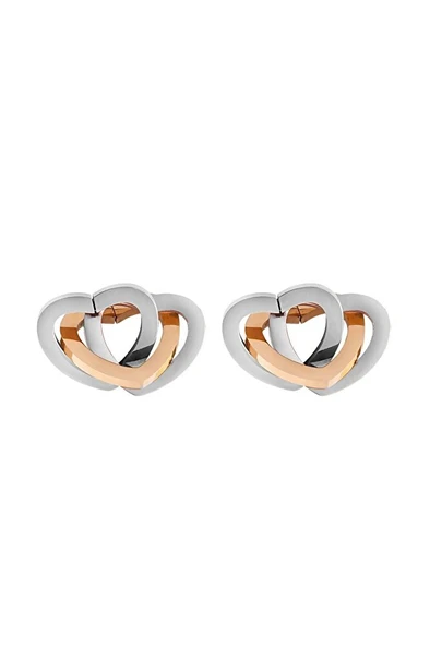 Daniel Klein KADIN ÇELİK KÜPE DKJ.3.5009-3 ürün görseli