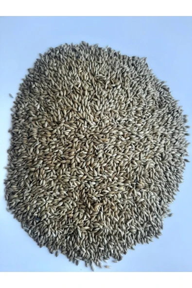 Sade Kanarya Yemi Kaliteli Açık (2 Kilo) ürün görseli