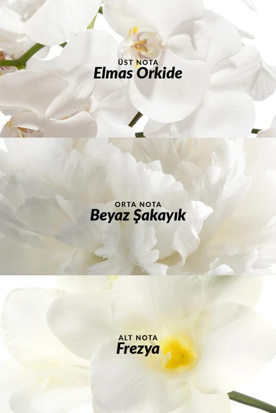 Incandessence Kadın Parfüm Edp 50 Ml. - Resim 3