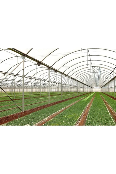 VATAN 36 Aylık Sera Naylonu 350 Mikron Kalın Sera Örtüsü Brandası Uv - Eva Katkılı 10m- Boy 30m - Resim 3