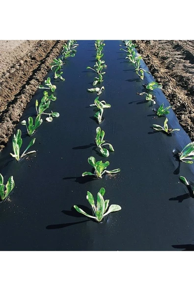 VATANPLASTİK 12 Aylık Malç Naylonu Uv-ab Katkılı Eni 120 Cm 100 Micron 100 Metre ürün görseli