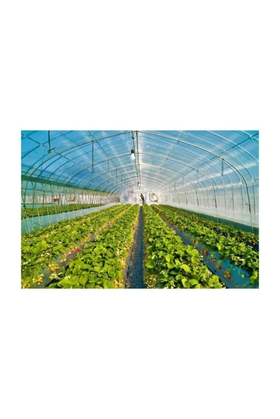Emek 10m X 24 M350 Mikron Eva Uv Katkılı 36 Aylık Sera Naylonu Kalın Sera Örtüsü Branda ürün görseli