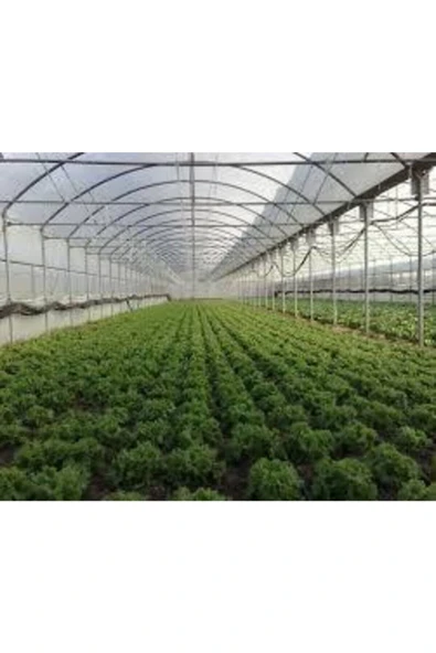 VATAN 36 Aylık Sera Naylonu 360 Mikron Uv Ir Eva Ld Katkılı 7x14 - Resim 2