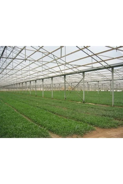 ÇİFTÇİ PLASMAR 36 Aylık Sera Naylonu 360 Mikron Uv - Eva-ır-ao-ae Katkılı 8x12 - Resim 4