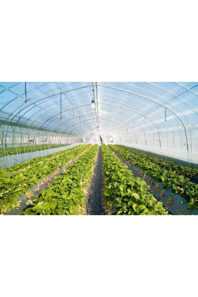 ÇİFTÇİ PLASMAR 10x27 36 Aylık Sera Naylonu 350 Mikron Branda Örtüsü Uv - Eva-ab Katkı Xömbx4 ürün görseli