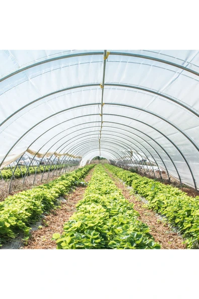 VATANPLASTİK 36 Aylık Sera Naylonu 350 Mikron Uv-ab-eva Katkılı En 9 (girilen Adet Kadar Metraj Kesilecektir.) ürün görseli