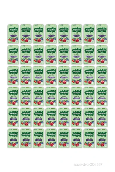 48 AL 44 ÖDE Doğadan Nar Yaban Mersini Yeşil Çay 20'li ve ROSIE - Resim 2