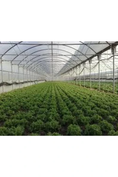 VATAN 36 Aylık Sera Naylonu 360 Mikron Uv - Eva-ır-ao-ae Katkılı 8x16 - Resim 3