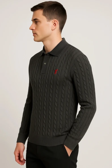 Polo Yaka Desenli Tişört - Resim 3