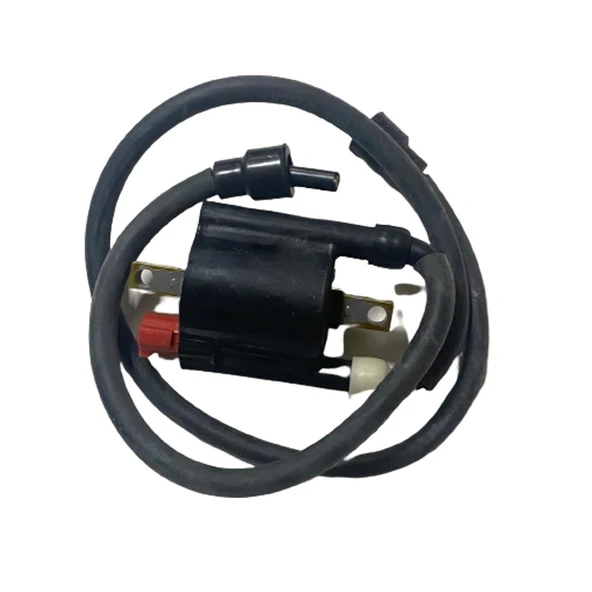 Ateşleme Bobini RS 200 - Resim 2