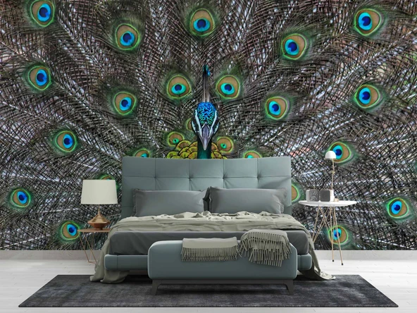 Tavuskuşu ve Tüyü Duvar Kağıdı Baskı - Resim 2