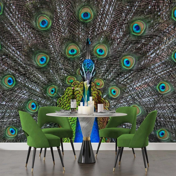 Tavuskuşu ve Tüyü Duvar Kağıdı Baskı - Resim 5