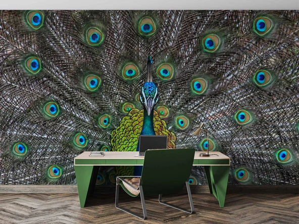 Tavuskuşu ve Tüyü Duvar Kağıdı Baskı - Resim 4