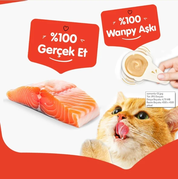 Wanpy Somonlu Kaşık Krema Kedi Ödül Maması 10x16gr - Resim 3