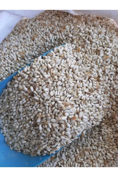 Aspir Tohumu Güvercin Sultan Papağanı Yemi (4 kg) ürün görseli